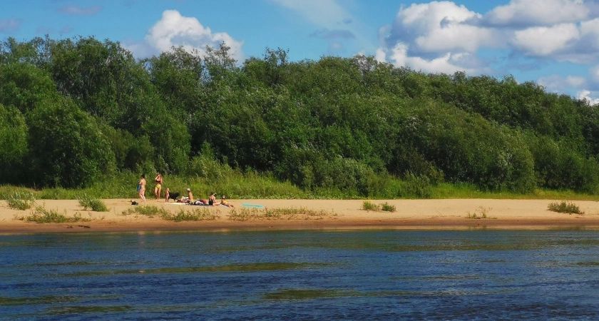 С 2 июня будет строго запрещён отдых на природе: любителям чистого воздуха придётся поискать другие места