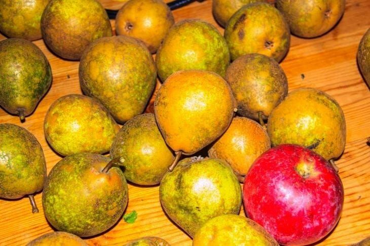 Куда девать очистки от фруктов: невероятно экономичный и простой кухонный лайфхак