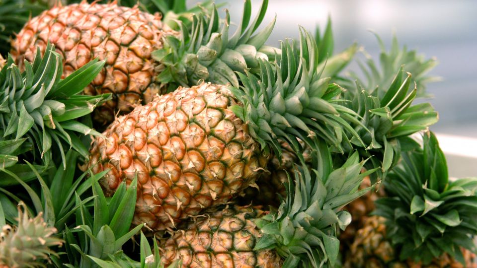 Не морская капуста: врач перечислила продукты с высоким содержанием йода