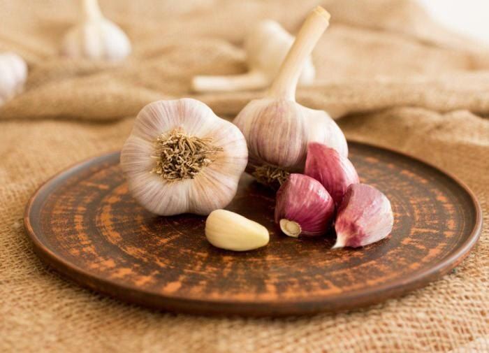Как помочь чесноку в трудные времена: советуем на страже здоровья