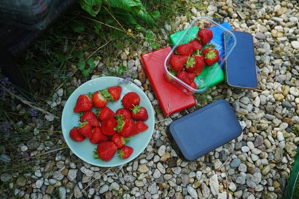 ������� ��������� ���������� ������