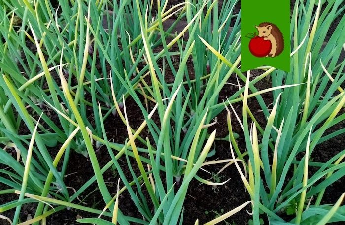 ������� ����: ��� �������� ������ � ����� ������ ������?