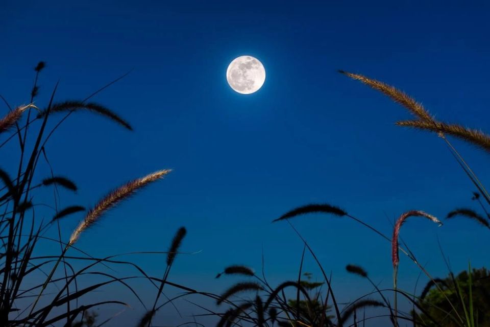 �������� 2025: ������ ���������, �������� � ������� ��� ��� ���������