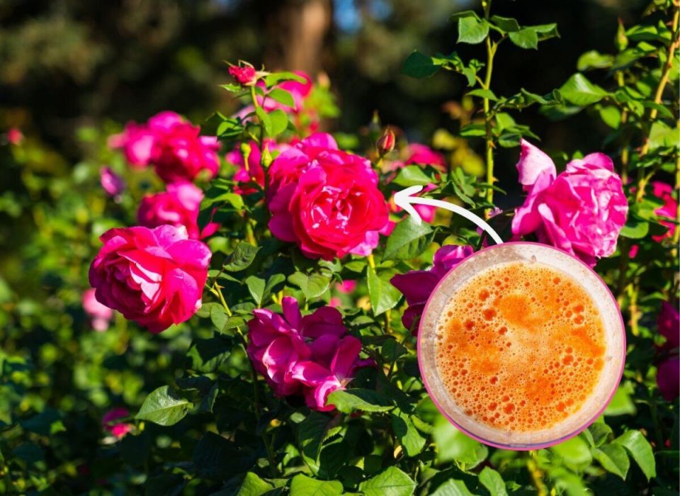 ��� �������� ������������� �������� ���: ��� ������� ���������� �������