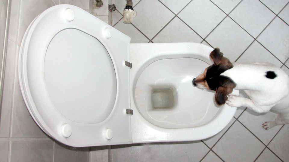 ���������� ������� ������ �� ���������� ��� �������: ������ ������ ������� �������