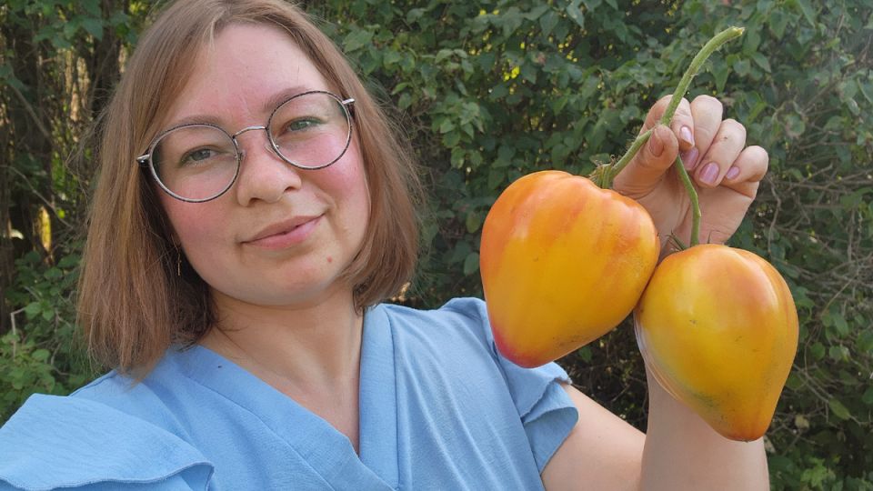 ����� "������ ����������� �����": ��������� ���������� ������� ��� ��������