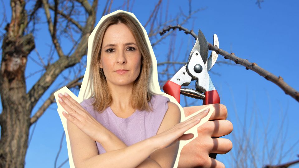 ��� �������� ������� �������� ������: ������ ����� ������ ��� ����� ������