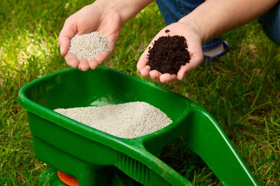 ������� �����: ��� ������������� ��������� �������� ����������� ���� �����