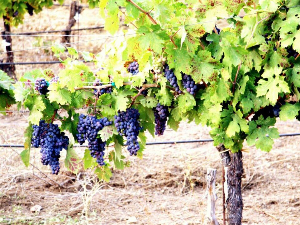 ����������� ���������: ��� ������ ���� �������������� ����� ������ ������