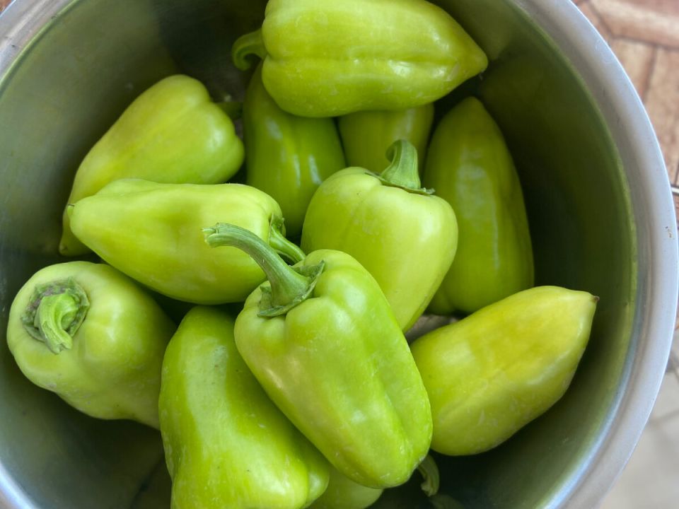 ��������� ���� ��� �������: ������������� ����� ��� ����