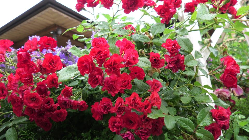 ��� ������ ����: 7 ���������������� ������, ������� ����� �������� ���� �����