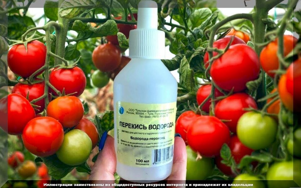 ����������� ������� ������������� �������� �������� ��� �������� � �����