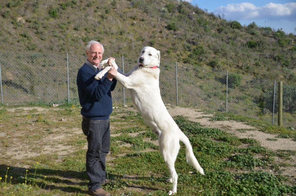 ������� ������ �����: ��� ����� �����