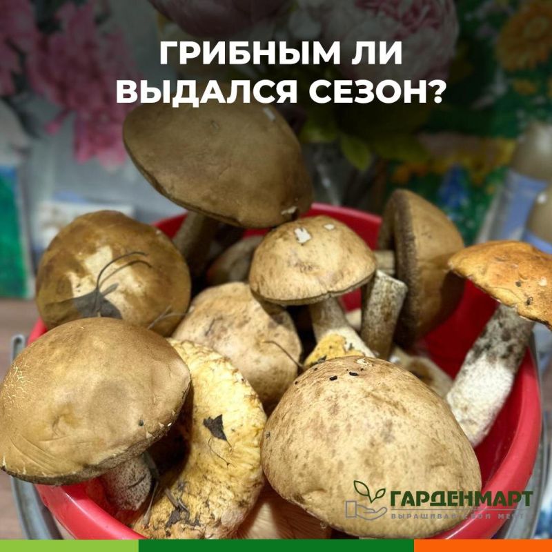 ����� ������� ����� ������� � ���� ����?