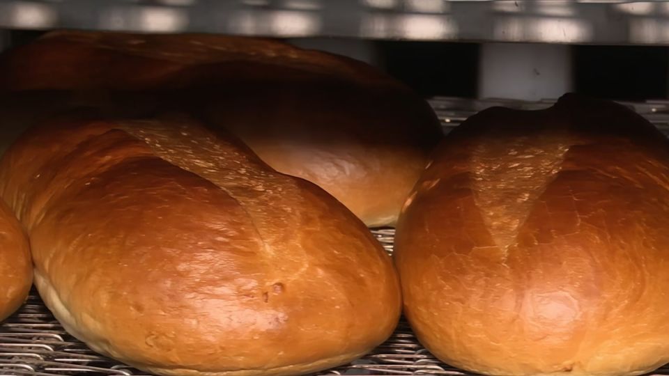 ��������� � ������� ���� ����� 114 ����������� ����� �� ��������