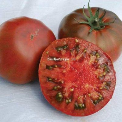 Томат Жженый сахар: десертные плоды с темно-бордовым цветом и сладким вкусом