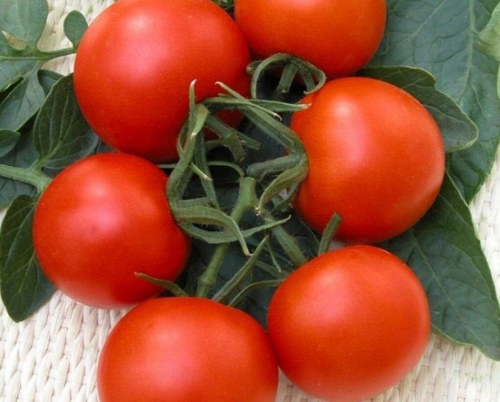 �������� ���� � �������: ��������� ���������� ������ ������� �������