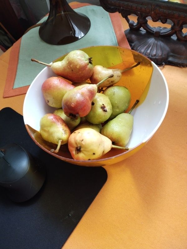 ������ ��� ��� ��������� ���� ������� ��������������