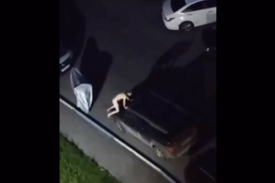         ,     