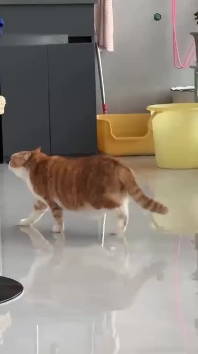   +15 +20.  ,  ,  