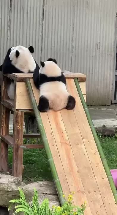   +8 +13.   