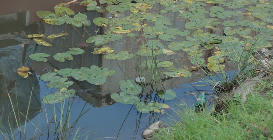 Грязовецкий суд вынес приговор матери утонувшего в пруду мальчика