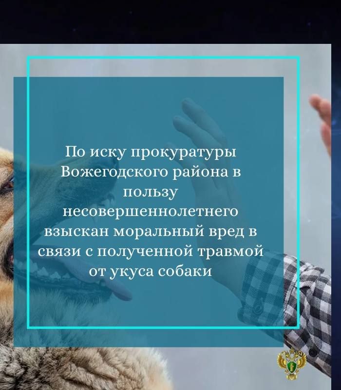 Прокуратура Вожегодского района на основании обращения местной жительницы, действующей в интересах несовершеннолетнего сына, провела проверку соблюдения требований законодательства об ответственном обращении с животными