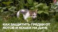 Как защитить свои грядки от непрошенных пушистиков: простые и эффективные методы