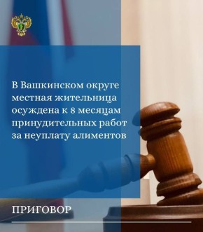 Прокуратурой Вашкинского района поддержано государственное обвинение по уголовному делу в отношении 43-летней местной жительницы