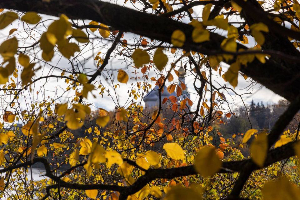 Днём +3° +8°, небольшой дождь