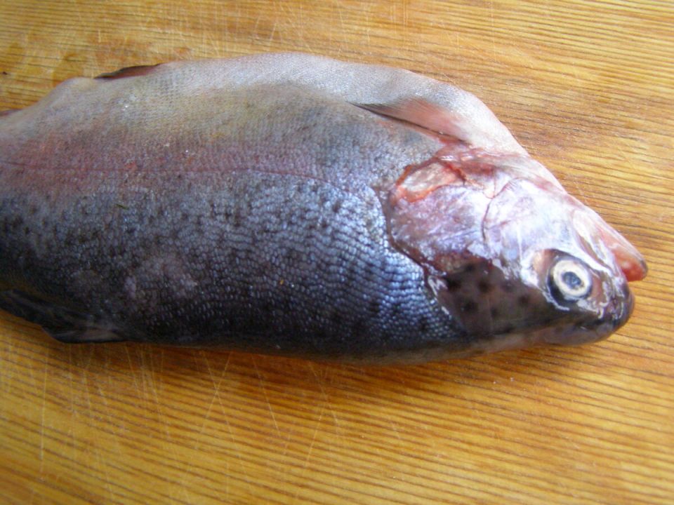 Секреты идеальной жареной форели: готовьте с наслаждением