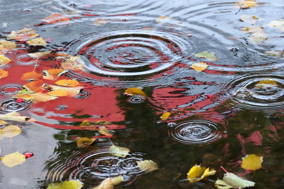 Октябрь на Вологодчине завершится аномально теплой, но дождливой погодой