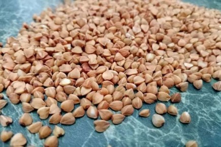 Два продукта, с которыми нельзя есть гречку: запомните раз и навсегда