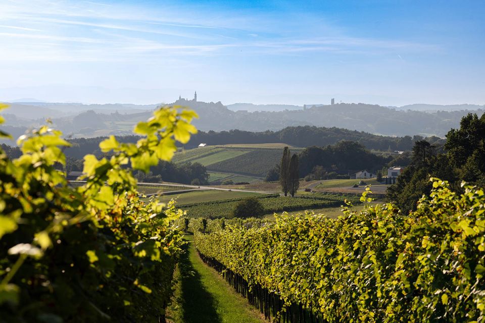 Креман: игристая изюминка на праздник шампанского