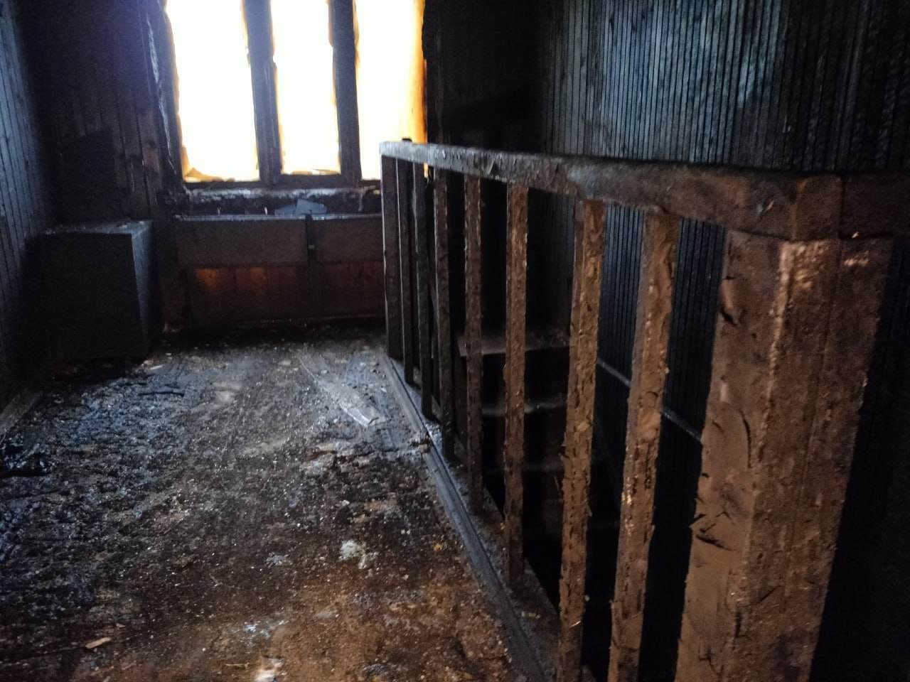 Съёмочная группа ВЕСТИ35.РФ готовит репортаж из Тарноги Съёмочная группа ВЕСТИ35.РФ готовит репортаж из Тарноги