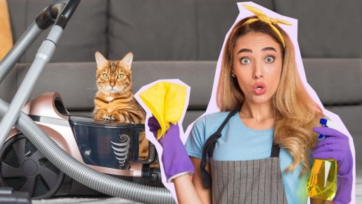 Опасная грязь, невидимая глазу: эти места хозяйки забывают чистить, а зря