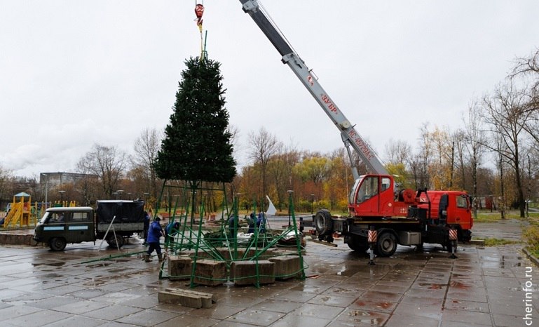 Новогодние ели начали устанавливать в Череповце