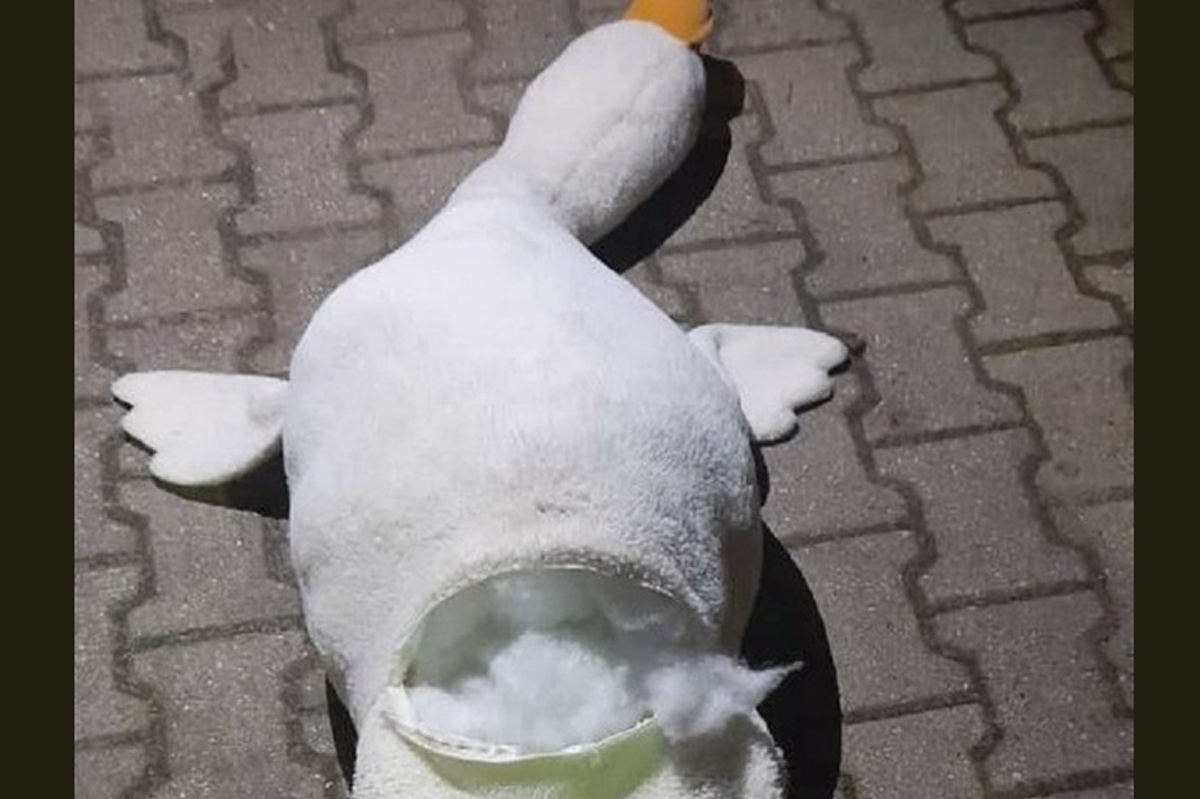 Курьер вез на Вологодчину почти 1,5 кг наркотиков, спрятанных в гуся