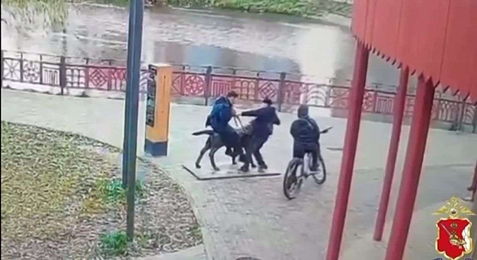 Родители заплатят 2 миллиона рублей за вандализм детей в парке Вологды