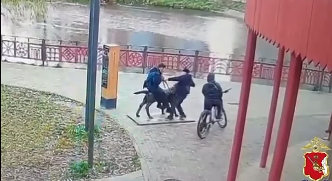 Родители заплатят 2 миллиона рублей за вандализм детей в парке Вологды