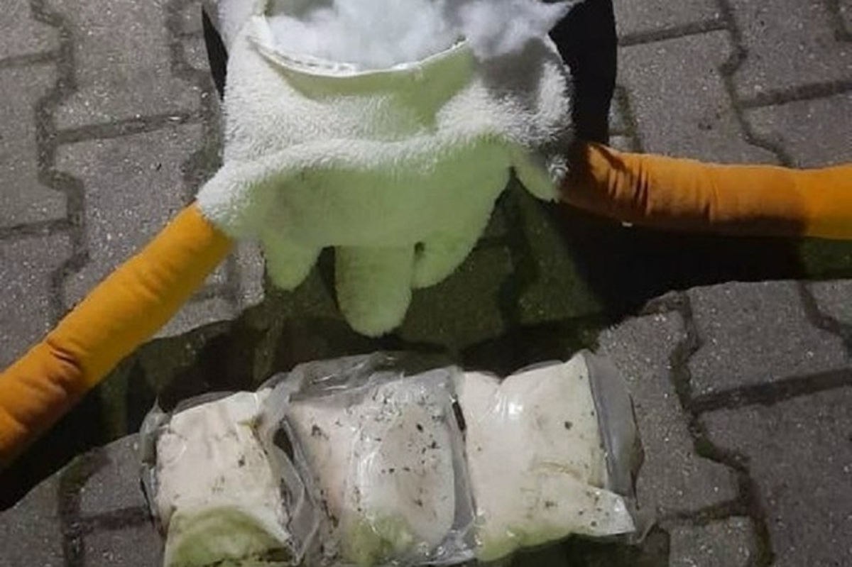 Курьер вез на Вологодчину почти 1,5 кг наркотиков, спрятанных в гуся Курьер вез на Вологодчину почти 1,5 кг наркотиков, спрятанных в гуся