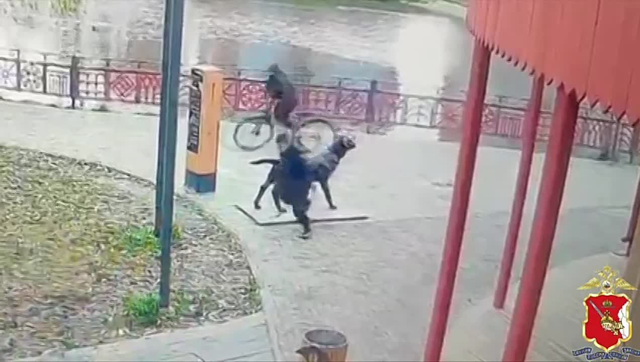 В Вологде сотрудники полиции задержали подозреваемых в вандализме