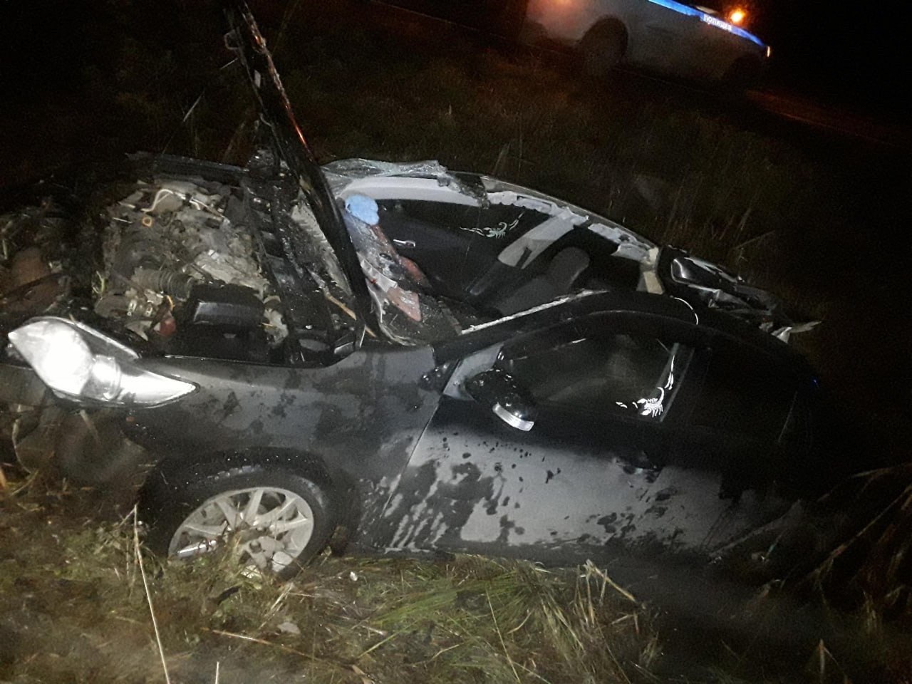 В Чагоде в результате ДТП с лосем погиб водитель В Чагоде в результате ДТП с лосем погиб водитель