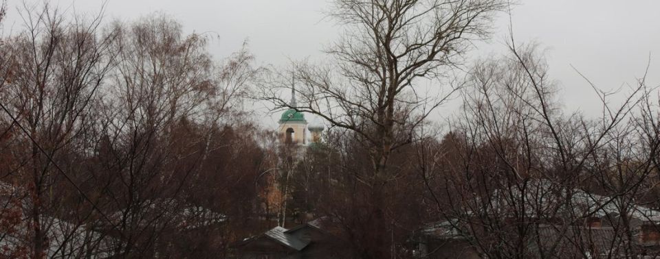 Заморозки и дожди ожидают вологжан в ноябрьские праздники