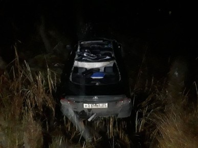 В Чагоде в результате ДТП с лосем погиб водитель