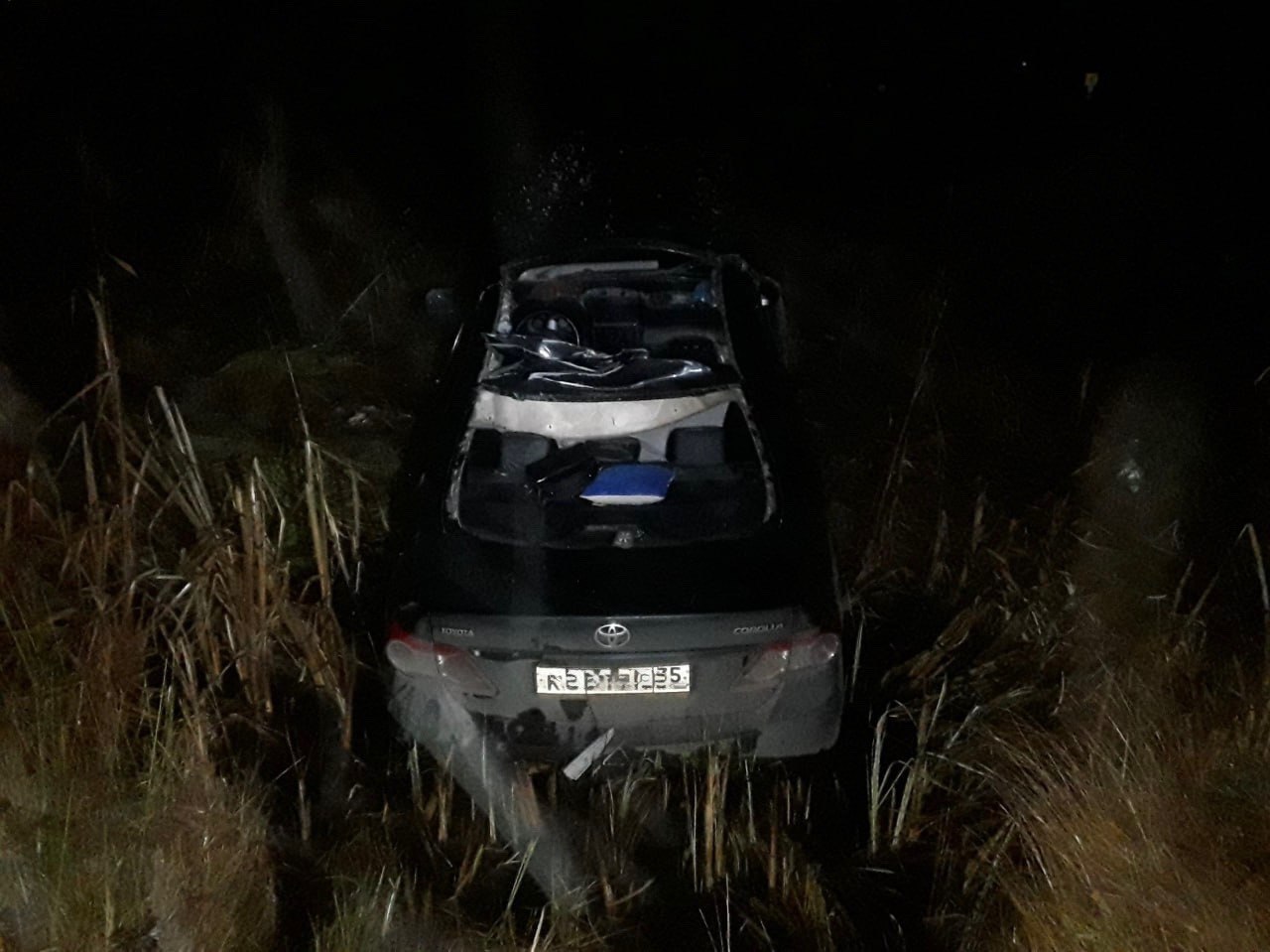 В Чагоде в результате ДТП с лосем погиб водитель