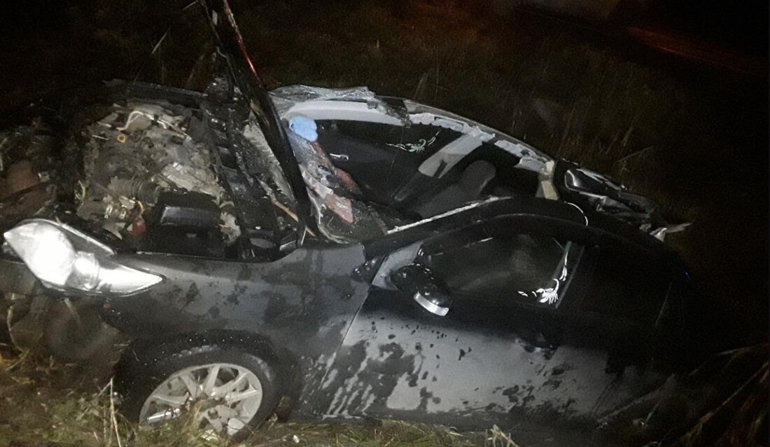 Водитель «Тойоты» погиб в ДТП с лосем под Чагодой