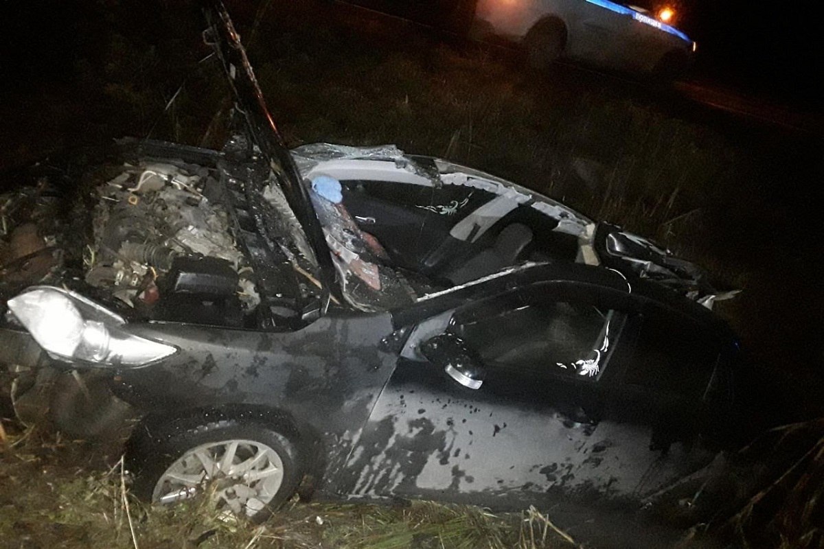 Трагедия на дороге: лось стал причиной смертельного ДТП Трагедия на дороге: лось стал причиной смертельного ДТП