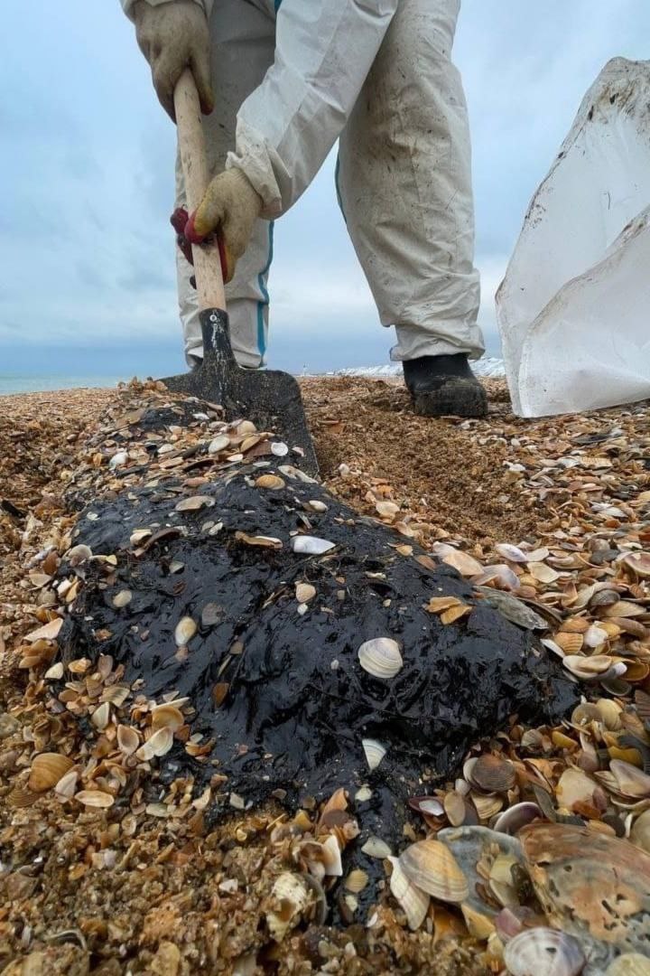 31 октября – День Черного моря: От гражданского долга к спасению природы! 31 октября – День Черного моря: От гражданского долга к спасению природы!