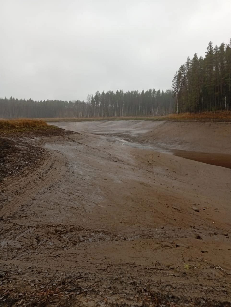 В Вологодской области исчезло озеро